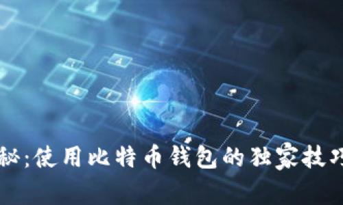 专家揭秘:使用比特币钱包的独家技巧与秘诀
