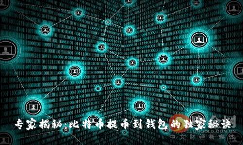 专家揭秘：比特币提币到钱包的独家秘诀