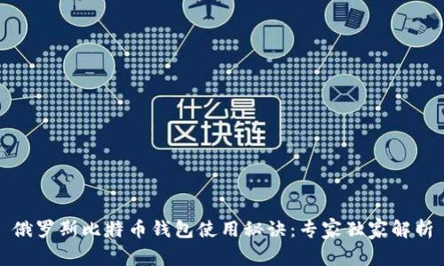 俄罗斯比特币钱包使用秘诀:专家独家解析