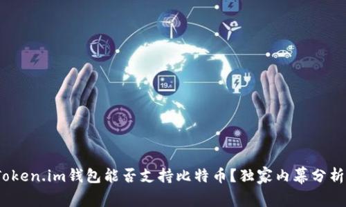 专家揭秘：Token.im钱包能否支持比特币？独家内幕分析与使用秘诀