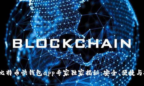2023年比特币快钱包app专家独家揭秘:安全、便捷与投资秘诀