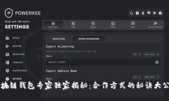 区块链钱包专家独家揭秘：合作方式的秘诀大公