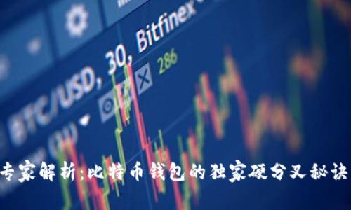 专家解析：比特币钱包的独家硬分叉秘诀！