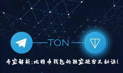 专家解析：比特币钱包的独家硬分叉秘诀！