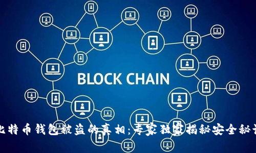 比特币钱包被盗的真相:专家独家揭秘安全秘诀