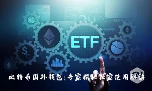 比特币国外钱包：专家揭秘独家使用秘诀