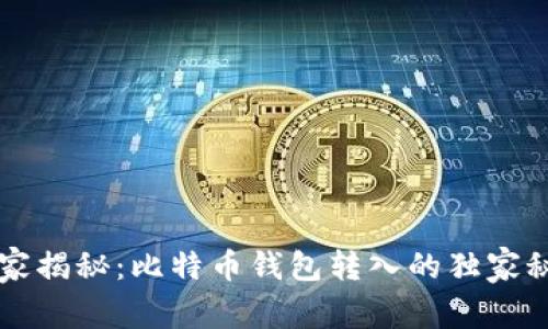 专家揭秘：比特币钱包转入的独家秘诀