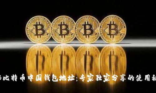 揭秘比特币中国钱包地址：专家独家分享的使用秘诀！