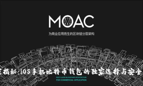 专家揭秘：iOS手机比特币钱包的独家选择与安全秘诀