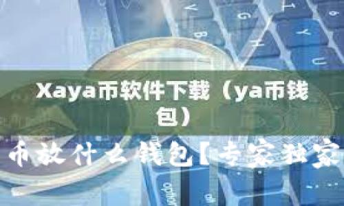 USDT买的币放什么钱包?专家独家解析秘诀!