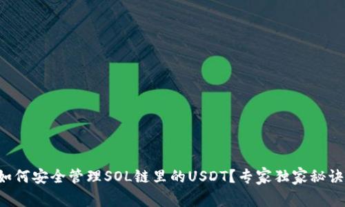 TP钱包如何安全管理SOL链里的USDT？专家独家秘诀大揭秘！