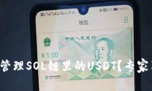 TP钱包如何安全管理SOL链里的USDT？专家独家秘诀大揭秘！