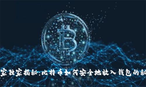 专家独家揭秘:比特币如何安全地放入钱包的秘诀