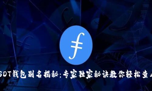 USDT钱包别名揭秘：专家独家秘诀教你轻松查看！