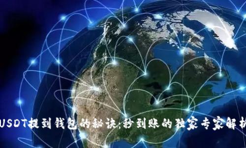 USDT提到钱包的秘诀：秒到账的独家专家解析