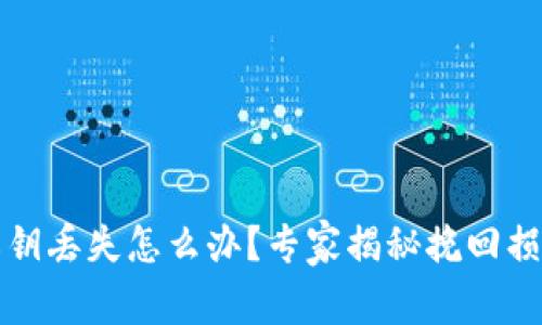 比特币钱包私钥丢失怎么办?专家揭秘挽回损失的独家秘诀