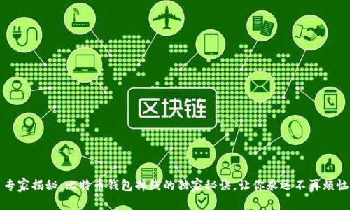 专家揭秘:比特币钱包掉线的独家秘诀,让你永远不再烦恼