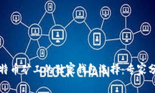 揭秘比特币矿工的独家钱包选择：专家分享秘诀