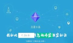 揭秘比特币黑洞钱包的专家独家秘诀