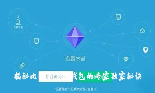 揭秘比特币黑洞钱包的专家独家秘诀