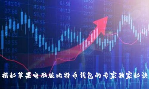 揭秘苹果电脑版比特币钱包的专家独家秘诀