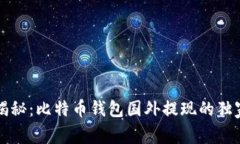 专家揭秘：比特币钱包国外提现的独家秘诀
