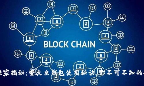 区块链专家独家揭秘：萤火虫钱包使用秘诀，你不可不知的安全存储技巧