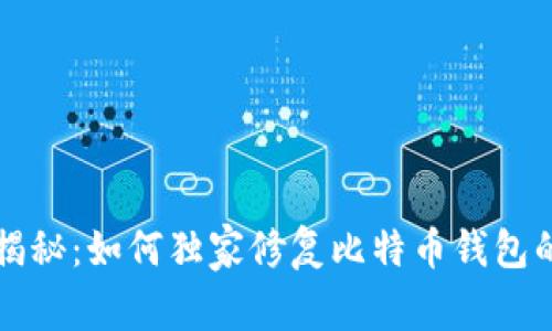 专家揭秘：如何独家修复比特币钱包的秘诀