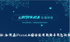 专家揭秘：如何在iPhone上安全使用狗狗币钱包的