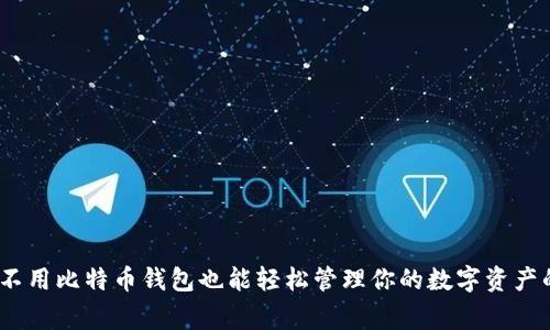 独家揭秘：不用比特币钱包也能轻松管理你的数字资产的专家秘诀
