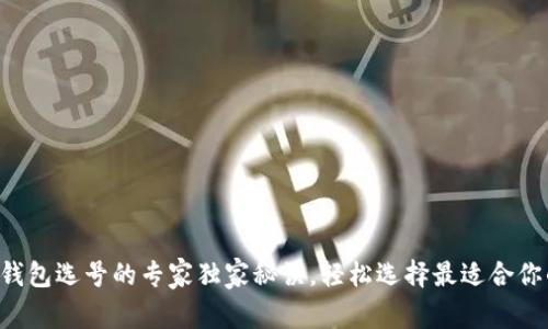 区块链钱包选号的专家独家秘诀,轻松选择最适合你的钱包!