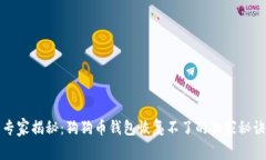 专家揭秘：狗狗币钱包恢复不了的独家秘诀