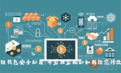 区块链钱包安全秘籍：专家独家揭秘如何防范修