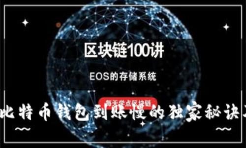 专家揭秘：比特币钱包到账慢的独家秘诀及解决方案