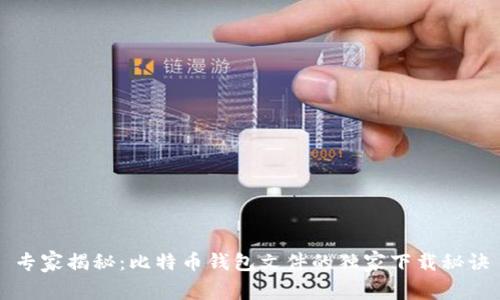 专家揭秘:比特币钱包文件的独家下载秘诀