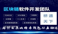 揭秘中本聪：为什么其比特币钱包从未动过的独