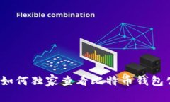 专家解密：如何独家查看比特币钱包公钥的秘诀