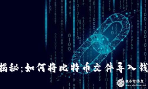 专家独家揭秘：如何将比特币文件导入钱包的秘诀！