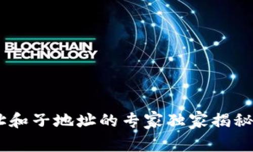 比特币钱包主地址和子地址的专家独家揭秘：你想知道的一切!
