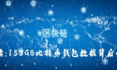 专家独家解读：153GB比特币钱包数据背后的秘密与