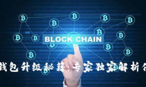 以太坊钱包升级秘籍：专家独家解析停机问题