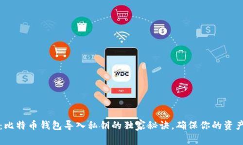 专家揭秘：比特币钱包导入私钥的独家秘诀，确保你的资产安全无忧