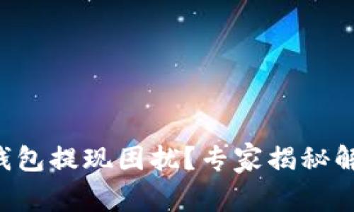 瑞波币钱包提现困扰？专家揭秘解决秘诀！
