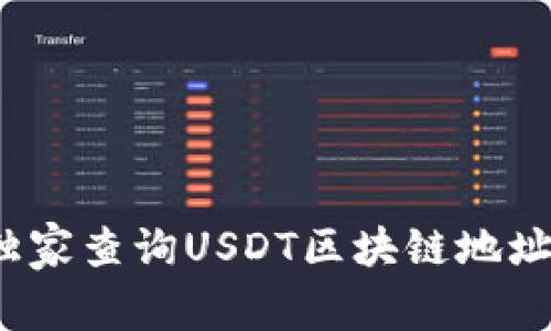 专家揭秘：如何独家查询USDT区块链地址钱包余额的秘诀