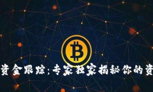 区块链钱包资金跟踪：专家独家揭秘你的资产安全秘诀