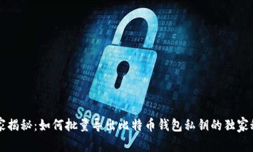 专家揭秘：如何批量导出比特币钱包私钥的独家秘诀
