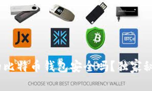 专家揭秘：最早的比特币钱包安全吗？独家秘诀助你规避风险