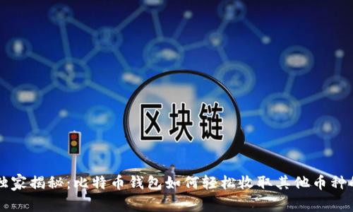 专家独家揭秘:比特币钱包如何轻松收取其他币种的秘诀
