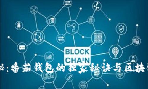 专家揭秘：番茄钱包的独家秘诀与区块链的未来