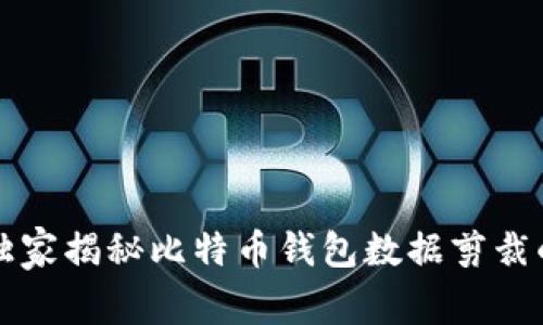 专家独家揭秘比特币钱包数据剪裁的秘诀